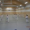 Taekwondo Training